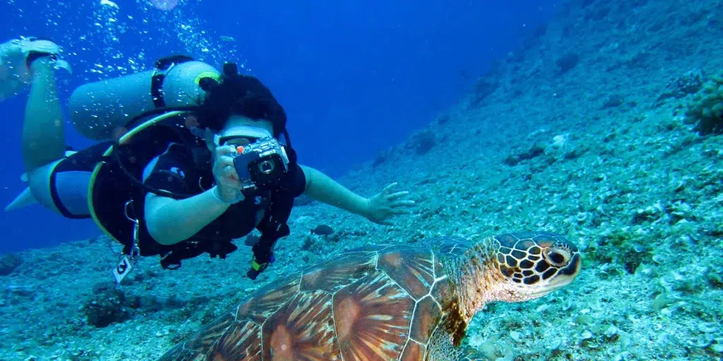 persona fotografiando a una tortuga marina mientras bucea