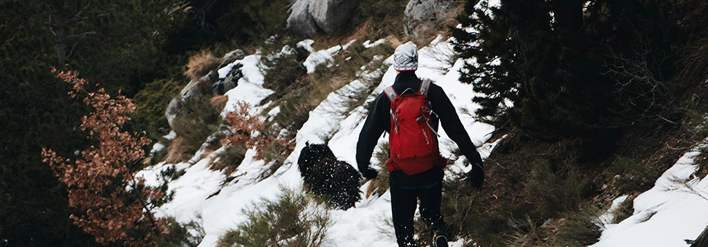 Persona caminando junto a su perro por terreno montañoso y levemente nevado.