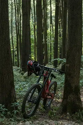 Imagen que meustra una bicicleta en el centro de la anturaleza