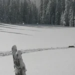 Dos personas caminando con raquetas de nieve por un paisaje helado.