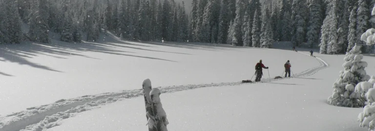 Dos personas caminando con raquetas de nieve por un paisaje helado.