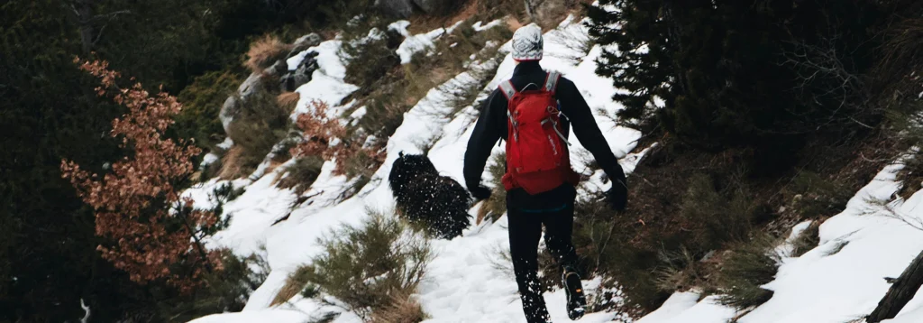 Persona caminando junto a su perro por terreno montañoso y levemente nevado.